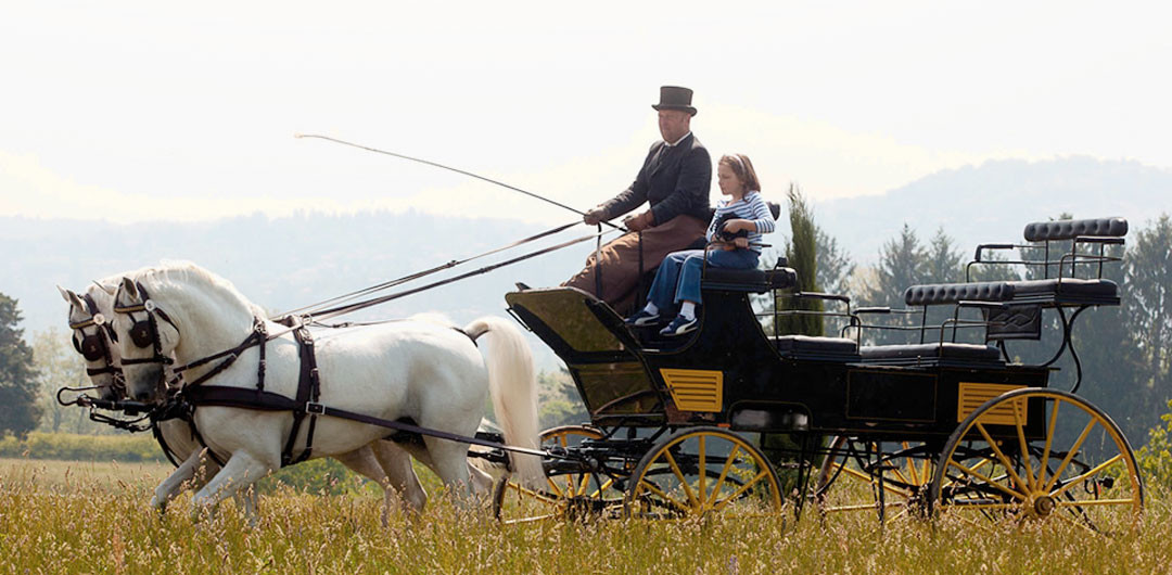 carrozza_1080x530