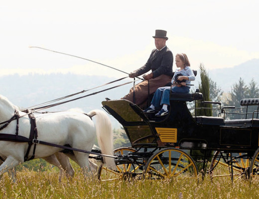 carrozza_1080x530
