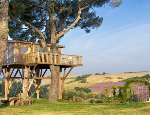 casa_sull_albero_1080x530